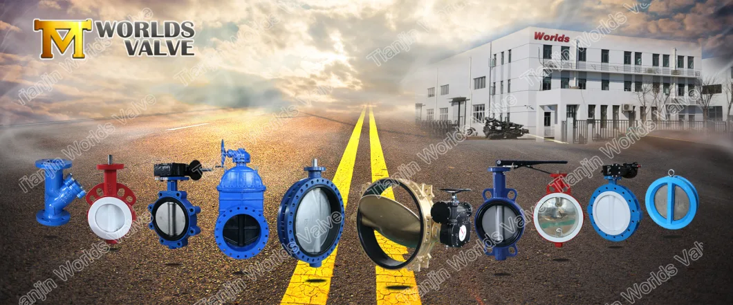Replaceable Seat/Loose Liner EPDM/NBR Rubber Lined Seal Double Flanged Connection Butterfly Valve for Water From Tianjin Worlds Valve 
